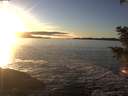 ./images/koeye/fitz-hugh/20201211/fitz-hugh20201211_154001.jpg