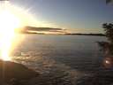 ./images/koeye/fitz-hugh/20201211/fitz-hugh20201211_154501.jpg