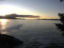 ./images/koeye/fitz-hugh/20201211/fitz-hugh20201211_155001.jpg