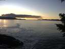 ./images/koeye/fitz-hugh/20201211/fitz-hugh20201211_155501.jpg