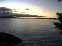 ./images/koeye/fitz-hugh/20201211/fitz-hugh20201211_161501.jpg