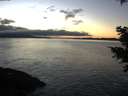 ./images/koeye/fitz-hugh/20201211/fitz-hugh20201211_162001.jpg