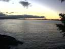 ./images/koeye/fitz-hugh/20201211/fitz-hugh20201211_162501.jpg