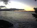 ./images/koeye/fitz-hugh/20201211/fitz-hugh20201211_163001.jpg