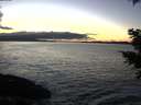 ./images/koeye/fitz-hugh/20201211/fitz-hugh20201211_163501.jpg