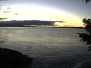 ./images/koeye/fitz-hugh/20201211/fitz-hugh20201211_164001.jpg