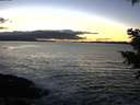 ./images/koeye/fitz-hugh/20201211/fitz-hugh20201211_164501.jpg