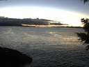 ./images/koeye/fitz-hugh/20201211/fitz-hugh20201211_170002.jpg