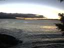 ./images/koeye/fitz-hugh/20201211/fitz-hugh20201211_170502.jpg