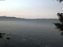 ./images/koeye/fitz-hugh/20201212/fitz-hugh20201212_080002.jpg