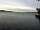 ./images/koeye/fitz-hugh/20201212/fitz-hugh20201212_100001.jpg