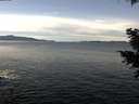 ./images/koeye/fitz-hugh/20201212/fitz-hugh20201212_120002.jpg
