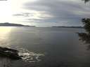 ./images/koeye/fitz-hugh/20201212/fitz-hugh20201212_140001.jpg