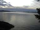 ./images/koeye/fitz-hugh/20201212/fitz-hugh20201212_160001.jpg