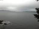 ./images/koeye/fitz-hugh/20201213/fitz-hugh20201213_080001.jpg