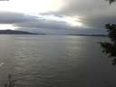 ./images/koeye/fitz-hugh/20201213/fitz-hugh20201213_120002.jpg