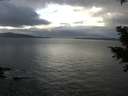 ./images/koeye/fitz-hugh/20201213/fitz-hugh20201213_140001.jpg
