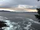 ./images/koeye/fitz-hugh/20201213/fitz-hugh20201213_160002.jpg