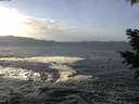 ./images/koeye/fitz-hugh/20201214/fitz-hugh20201214_115001.jpg