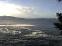 ./images/koeye/fitz-hugh/20201214/fitz-hugh20201214_115502.jpg