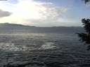 ./images/koeye/fitz-hugh/20201214/fitz-hugh20201214_120002.jpg