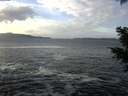 ./images/koeye/fitz-hugh/20201214/fitz-hugh20201214_120502.jpg