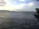 ./images/koeye/fitz-hugh/20201214/fitz-hugh20201214_121501.jpg