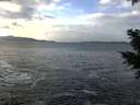 ./images/koeye/fitz-hugh/20201214/fitz-hugh20201214_122001.jpg