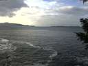 ./images/koeye/fitz-hugh/20201214/fitz-hugh20201214_122501.jpg