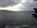 ./images/koeye/fitz-hugh/20201214/fitz-hugh20201214_123501.jpg