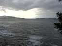 ./images/koeye/fitz-hugh/20201214/fitz-hugh20201214_124001.jpg