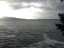 ./images/koeye/fitz-hugh/20201214/fitz-hugh20201214_124501.jpg