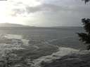 ./images/koeye/fitz-hugh/20201214/fitz-hugh20201214_125001.jpg