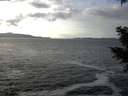 ./images/koeye/fitz-hugh/20201214/fitz-hugh20201214_125501.jpg
