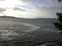 ./images/koeye/fitz-hugh/20201214/fitz-hugh20201214_130001.jpg