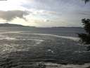 ./images/koeye/fitz-hugh/20201214/fitz-hugh20201214_130501.jpg