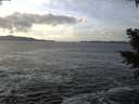 ./images/koeye/fitz-hugh/20201214/fitz-hugh20201214_131001.jpg