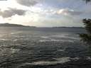 ./images/koeye/fitz-hugh/20201214/fitz-hugh20201214_131501.jpg