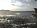 ./images/koeye/fitz-hugh/20201214/fitz-hugh20201214_132001.jpg