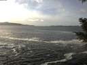 ./images/koeye/fitz-hugh/20201214/fitz-hugh20201214_132501.jpg