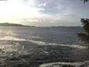 ./images/koeye/fitz-hugh/20201214/fitz-hugh20201214_133001.jpg