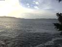 ./images/koeye/fitz-hugh/20201214/fitz-hugh20201214_133501.jpg