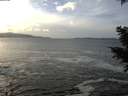 ./images/koeye/fitz-hugh/20201214/fitz-hugh20201214_134001.jpg