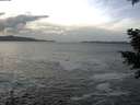 ./images/koeye/fitz-hugh/20201214/fitz-hugh20201214_135501.jpg