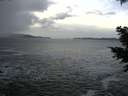 ./images/koeye/fitz-hugh/20201214/fitz-hugh20201214_140001.jpg