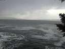 ./images/koeye/fitz-hugh/20201214/fitz-hugh20201214_140501.jpg