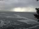 ./images/koeye/fitz-hugh/20201214/fitz-hugh20201214_141501.jpg