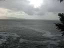 ./images/koeye/fitz-hugh/20201214/fitz-hugh20201214_142001.jpg