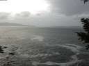 ./images/koeye/fitz-hugh/20201214/fitz-hugh20201214_142501.jpg
