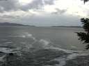 ./images/koeye/fitz-hugh/20201214/fitz-hugh20201214_143001.jpg